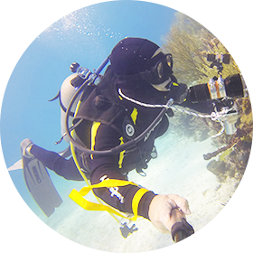 Neosport Wetsuits ネオスポーツ ウェットスーツ 通販 ウェットスーツ本舗